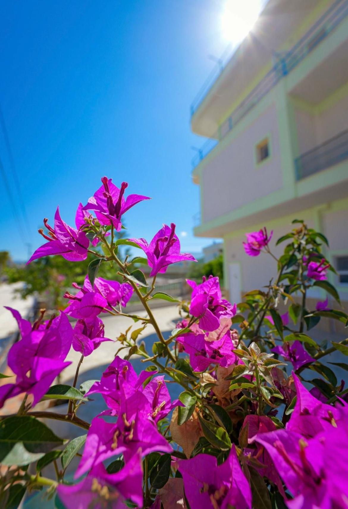 Sunflower Hotel Ksamil Exterior foto
